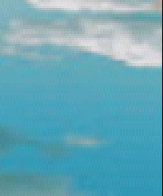 index004013.jpg
