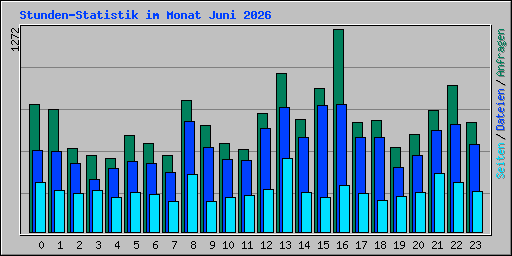 Stunden-Statistik im Monat Juni 2026